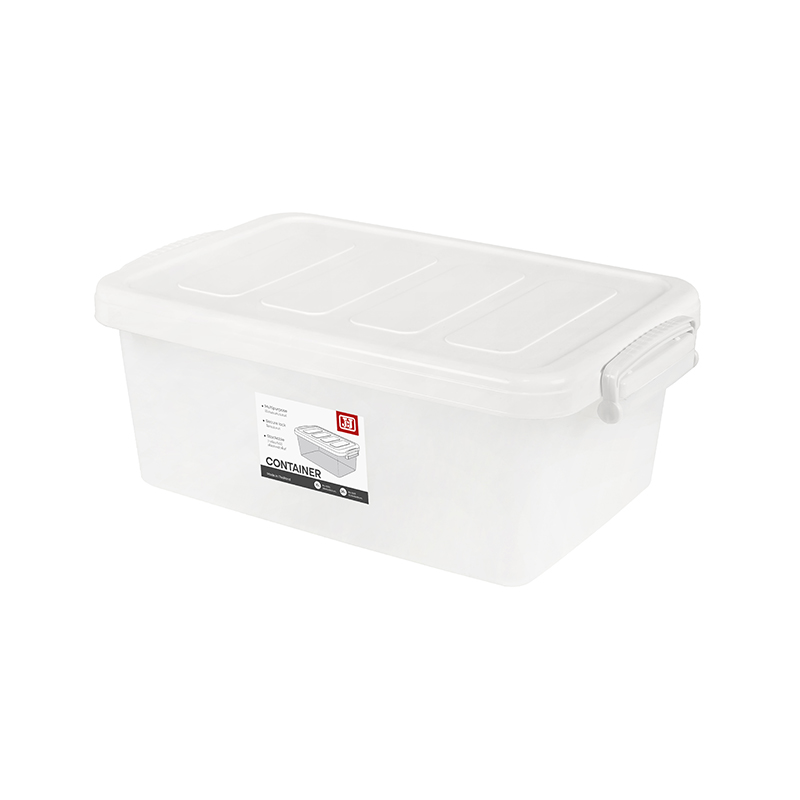 Storage Container 1001